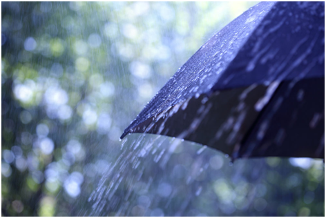 暴雨专用雨伞,高尔夫伞,雨中豪杰-我为暴雨而生--雨伞